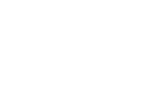Fresh mushrooms